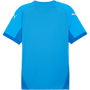 puma Teamfinal Jersey