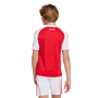adidas Arsenal 2025 26 Youth Home Stadium Jersey