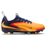 nike Phantom 6 Low Academy Youth FG Erling Haaland