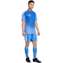 Pantalones cortos adidas Tiro 24 Match