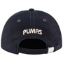 Fan Ink Pumas Princeton Classic Adjustable Hat