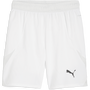 puma Teamfinal Short