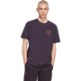 adidas Bayern Munich Men's Icon Graphic Tee