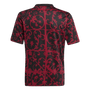 Camiseta adidas del Liverpool FC 2025-26 para jóvenes antes del partido
