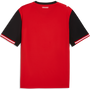 Puma Austria 2026 Men's Home Stadium Jersey