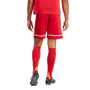 Pantalón corto Adidas Squadra 25
