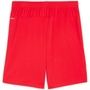Pantalón corto Puma TeamGOAL