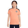 Camiseta de punto de manga corta Nike Youth Chelsea FC Strike Special Edition
