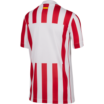 nike Atletico Madrid 2025 26 Youth Home Stadium Jersey