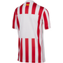 nike Atletico Madrid 2025 26 Youth Home Stadium Jersey
