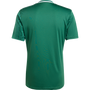 adidas Campeon 25 Jersey