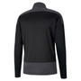 Puma Team Goal Training 1/4 Zip Top