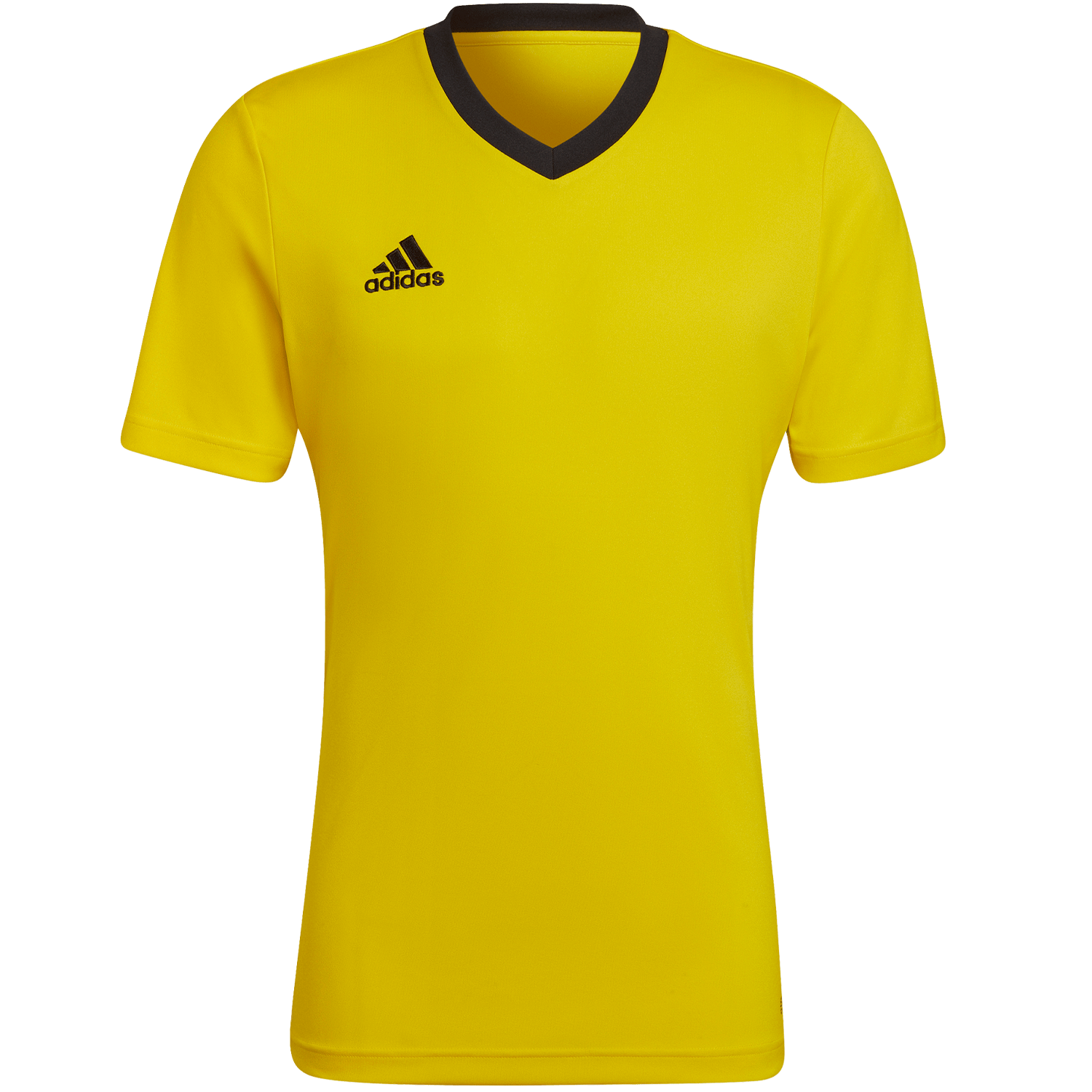 Camiseta adidas Entrada 22