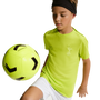 Nike Youth Tottenham Hotspur Academy Pro SE Short Sleeve Top