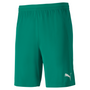 Pantalón corto de punto Puma TeamFinal 21