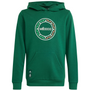 Sudadera con capucha adidas México para jóvenes