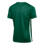Nike Dri-Fit 22 Challenge IV Jersey