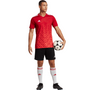 Camiseta adidas Team Icon 23