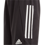 adidas Condivo 21 Short
