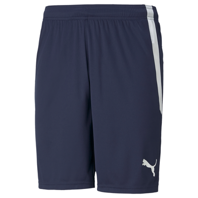 Puma Team Liga 25 Training Shorts