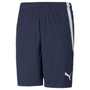 Puma Team Liga 25 Training Shorts