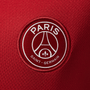 Nike PSG Youth Strike Dri-FIT Training Jersey