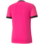 Camiseta Puma TeamGoal 23