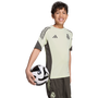 Camiseta de entrenamiento de competición adidas Real Madrid Tiro 25 para jóvenes