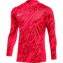 nike Dri Fit Gardien V Long Sleeve Goalkeeper Jersey