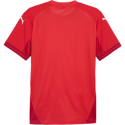 puma Teamfinal Jersey