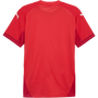 puma Teamfinal Jersey
