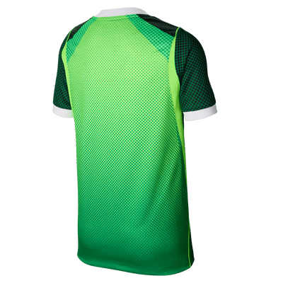 Nike Youth Nigeria Home 2026 Stadium Jersey