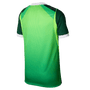 Nike Youth Nigeria Home 2026 Stadium Jersey