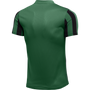Camiseta Nike Dry Stripe División IV SS