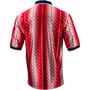 Nike Chivas Men's Energy SE Jersey