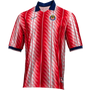 Nike Chivas Men's Energy SE Jersey