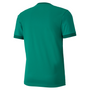 Camiseta Puma TeamGoal 23