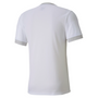 Camiseta Puma TeamGoal 23