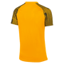 Camiseta Nike Dri-Fit de manga corta Academy