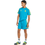 adidas Originals Colombia Men's Shorts