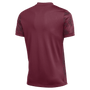 Camiseta Nike Precision VII Dri-FIT