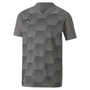 Camiseta gráfica Puma TeamFinal 21