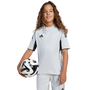 adidas Tiro 25 Competition Match Jersey
