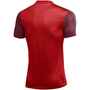 Camiseta Nike Dri-FIT Trophy V de manga corta