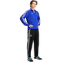 adidas Originals Argentina Men's Track Pants