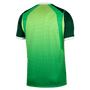 Nike Mens Nigeria Home 2026 Stadium Jersey