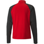 Puma Team Liga 25 Quarter Zip Top