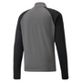 Puma Team Liga 25 Quarter Zip Top