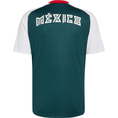 adidas Men's Mexico Away Pre-Match Jersey