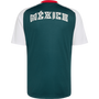 adidas Men's Mexico Away Pre-Match Jersey
